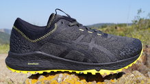 Asics Alpine XT