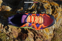 Asics Fuji Elite 