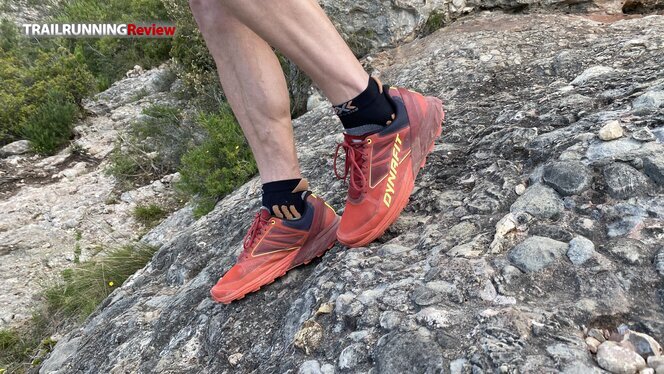 Zapatillas hombre Dynafit alpine - Serra Sports