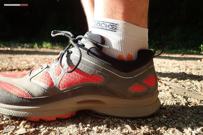 Ecco biom shop ultra trail