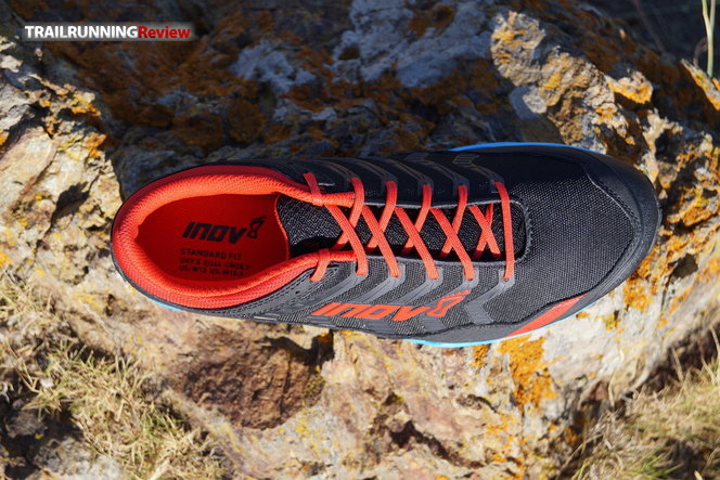 Inov8 x claw 275 womens online