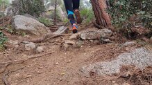 Merrell Agility Peak 5 Gore-Tex: La amortiguacin trasera permite correr largas distancias con ellas