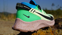 Nike Pegasus Trail 2