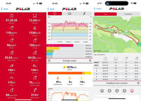 Datos de diferentes tipos de carrera en detalles