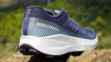 Salomon Vision