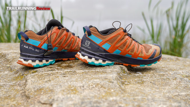 Salomon XA Pro 3D V8 Gore-Tex, Zapatillas de Trail Running Hombre
