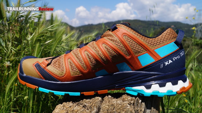 Salomon Zapatillas Trail Running XA Pro 3D V8 Goretex Azul