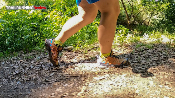  Salomon Zapatillas de trail running XA PRO 3D para