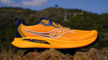 Saucony Peregrine 15